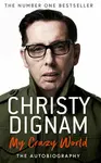 My Crazy World - Christy Dignam