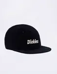 Dickies Williston Cap Night Sky