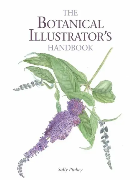 The Botanical Illustrator's Handbook - Sally Pinhey