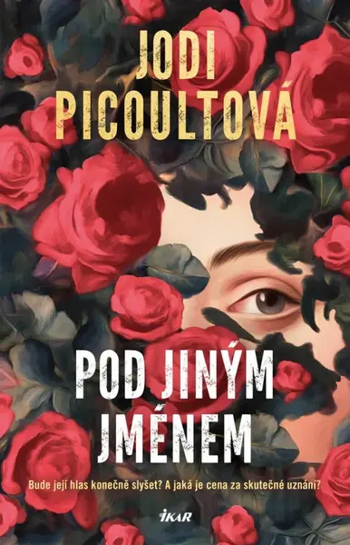 Pod jiným jménem - Jodi Picoultová