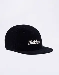 Dickies Williston Cap Night Sky