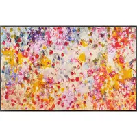 Esposa DVEŘNÍ ROHOŽKA, 75/120 cm vícebarevná