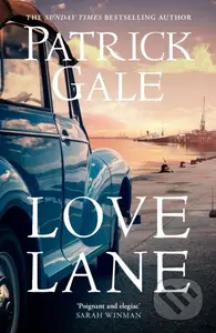 Love Lane (A searing portrayal of escape and the power of love, home and a family) - kniha z kategorie Romantická