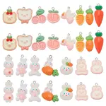 30Pcs 15 Styles Opaque Resin Pendants