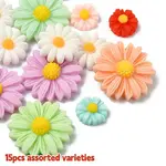 15Pcs 3 Styles Resin Cabochons Sets