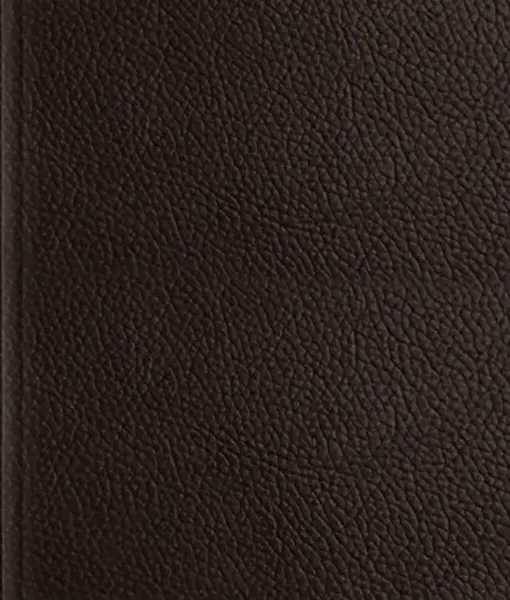 ESV Journaling Bible