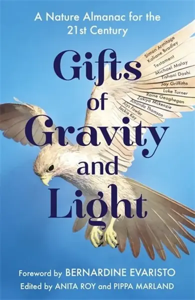 Gifts of Gravity and Light - Anita Roy, Pippa Marland