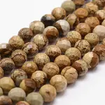 Natural Picture Jasper Beads Strands