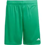 adidas ENTRADA 26 SHORTS Pánske športové šortky, zelená, veľkosť