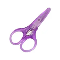 Stainless Steel Scissors