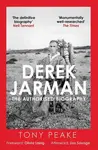 Derek Jarman: The Authorised Biography