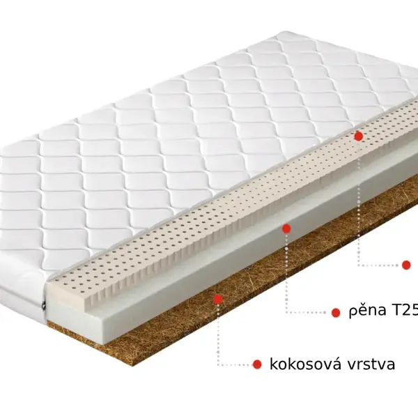 Matrace Mokka Rozměr: 160 x 200 cm, Potah: Hypoalergenní potah