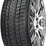 GRIPMAX 205/45 R 18 90V PRO_WINTER TL XL M+S 3PMSF
