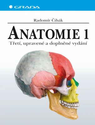 Kniha: Anatomie 1 od Čihák Radomír