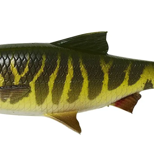 Savage gear gumová nástraha 4d lb river roach pike-22 cm 125 g