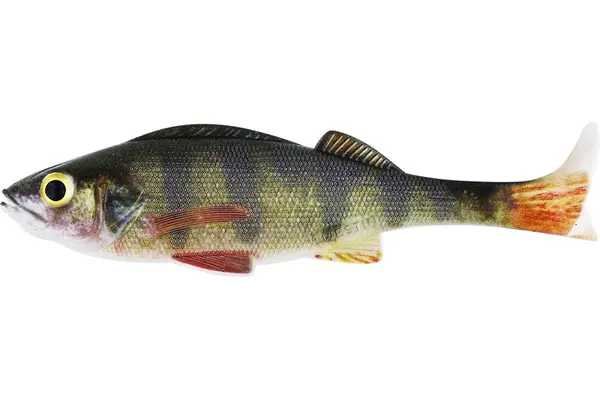 Westin gumová nástraha original perch real perch - 7 cm 4 g 2 ks