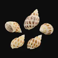 Spiral Shell Pendants