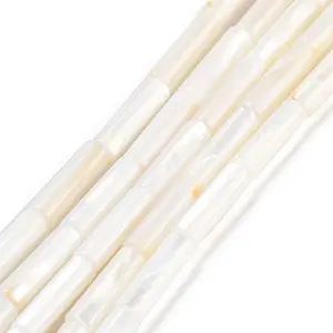 Freshwater Shell Beads Strands