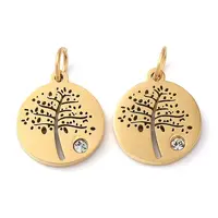 316 Surgical Stainless Steel Micro Pave Clear Cubic Zirconia Charms