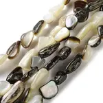 Natural Black Lip Shell Beads Strands