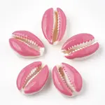 Cowrie Shell Beads