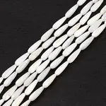 Natural Freshwater Shell Beads Strands