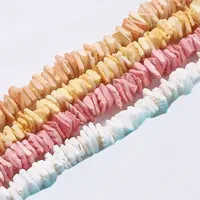 Natural Sea Shell Beads Strands