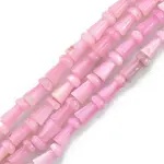 Natural Freshwater Shell Beads Strands
