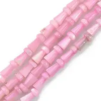 Natural Freshwater Shell Beads Strands