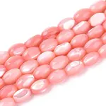 Natural Trochus Shell Beads Strands
