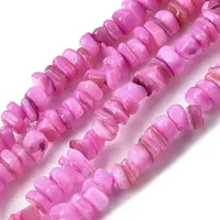 Natural Freshwater Shell Beads
