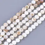 Freshwater Shell Beads Strands