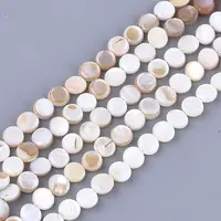 Freshwater Shell Beads Strands