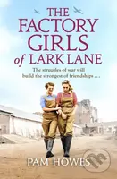 The Factory Girls of Lark Lane (A heartbreaking World War 2 historical novel of loss and love) - kniha z kategorie Společenská beletrie