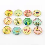 Half Round/Dome Bird Pattern Glass Flatback Cabochons for DIY Projects