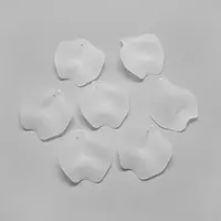 Transparent Acrylic Pendants