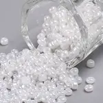 8/0 Glass Seed Beads