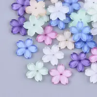 Translucent Resin Beads