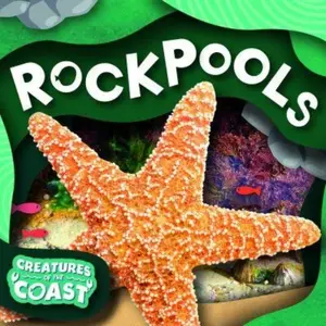 Rockpools - Noah  Leatherland