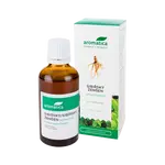 AROMATICA Sibiřský ženšen Eleuterokok bylinné kapky 50 ml