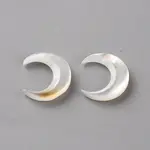 Natural White Shell Beads
