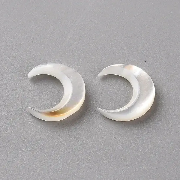 Natural White Shell Beads