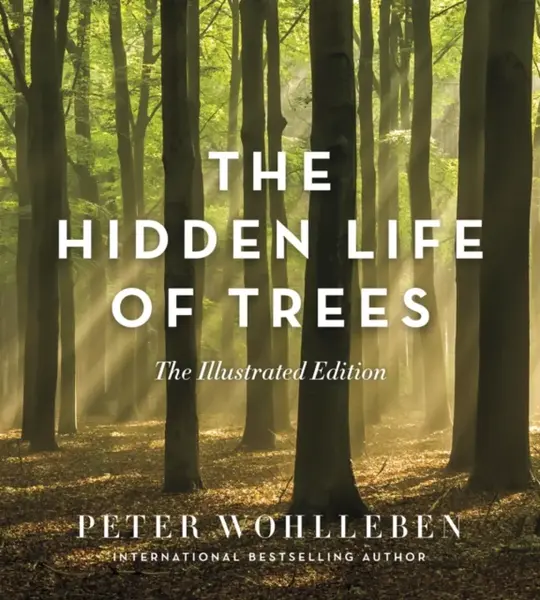 The Hidden Life of Trees: The Illustrated Edition - Peter Wohlleben