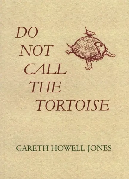 Do Not Call the Tortoise - Gareth Howell-Jones