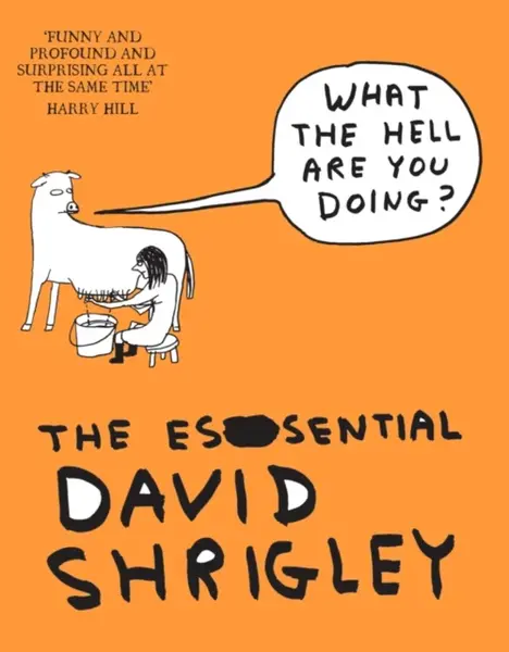 What The Hell Are You Doing?: The Essential David Shrigley - David Shrigley