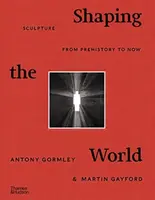 Shaping the World - Martin Gayford, Antony Gormley