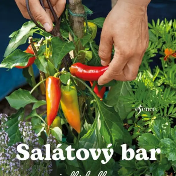 Salátový bar – jedlé balkony - Melanie Öhlenbach