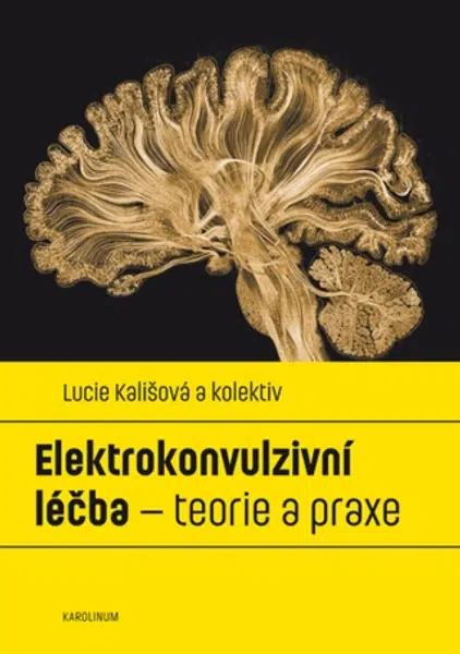 Elektrokonvulzivní léčba – teorie a praxe - Lucie Kališová - e-kniha
