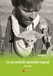 Co se tenkrát nemohlo napsat - Jiří Haleš - e-kniha