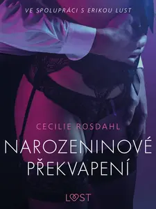 Narozeninové překvapení - Erotická povídka - Cecilie Rosdahl